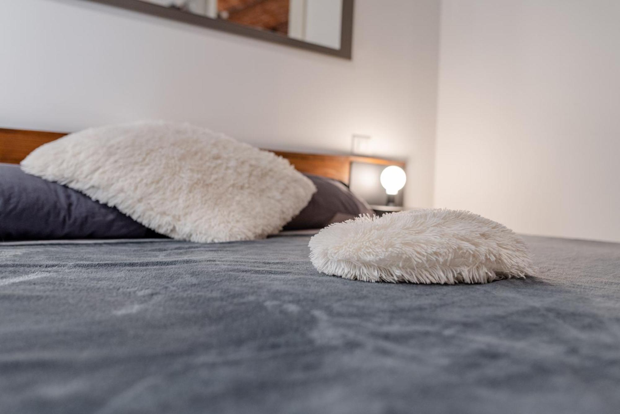 טורינו Suite & Queen Apartments מראה חיצוני תמונה